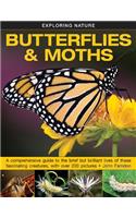 Exploring Nature: Butterflies & Moths