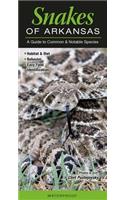 Snakes of Arkansas