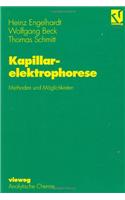 Kapillarelektrophorese: Methoden Und Maglichkeiten