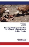 Toxicopathological Studies of Flunixin Meglumine in Broiler Chicks