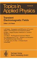 Transient Electromagnetic Fields