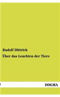 Über das Leuchten der Tiere