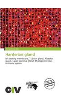 Harderian Gland