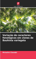 Variação de caracteres fenológicos em clones de Bauhinia variegata