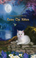 True Story of Daisy the Kitten
