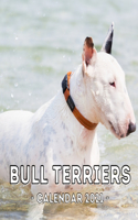 Bull Terriers