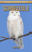 Schneeeule