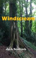 Windscream