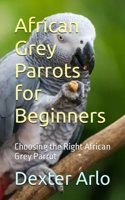 African Grey Parrots for Beginners: Choosing the Right African Grey Parrot