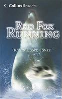 Red Fox Running