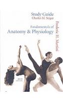 Fundamentals of Anatomy & Physiology