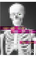 Hybrid Media Culture