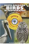 North American Birds in Photographs