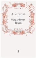 Strawberry Roan