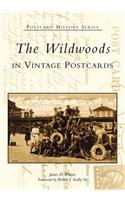 Wildwoods in Vintage Postcards