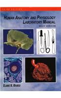 Human Anatomy and Physiology, Lab Manual,