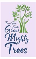 From Tiny Seeds Grow Mighty Trees