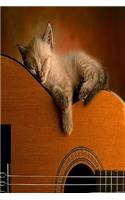 Guitar Cat Notebook: Guitar Cat Notebook, Journal, Diary size 6x9