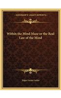 Within the Mind Maze or the Real Law of the Mind