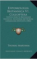 Entomologia Britannica V1, Coleoptera