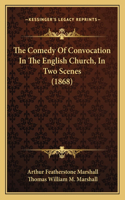 Comedy Of Convocation In The English Church, In Two Scenes (1868)