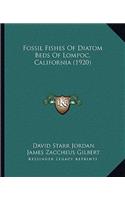 Fossil Fishes of Diatom Beds of Lompoc, California (1920)