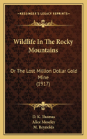 Wildlife In The Rocky Mountains