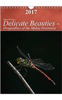 Delicate Beauties - Dragonflies of the Malay Peninsula 2017
