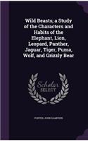 Wild Beasts; A Study of the Characters and Habits of the Elephant, Lion, Leopard, Panther, Jaguar, Tiger, Puma, Wolf, and Grizzly Bear