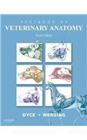 Textbook of Veterinary Anatomy