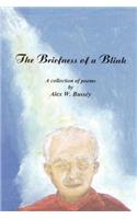 Briefness of a Blink