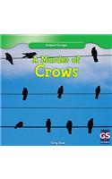 A Murder of Crows