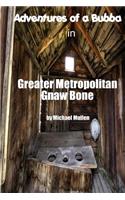 Adventures of a Bubba in Greater Metropolitan Gnaw Bone