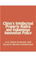 China's Intellectual Property Rights and Indigenous Innovation Policy