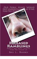 Released Ramblings: Poetry and Short Stories from the Closet