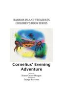 Cornelius' Evening Adventure