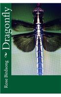 Dragonfly: (English)
