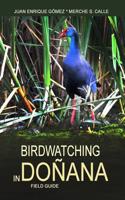 Birdwatching in Donana