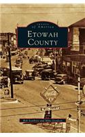 Etowah County (Revised)