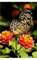 Lovely Tree Nymph Butterfly and Flowers Nature Journal