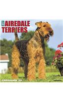 AIREDALE TERRIERS 2020 WALL CALENDAR