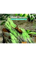 About Insects