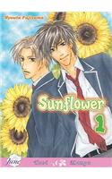 Sunflower (Yaoi)