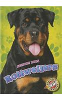 Rottweilers