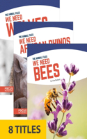 The Animal Files (Set of 8): (The Animal Files)
