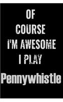 Of Course I'm Awesome I Play Pennywhistle