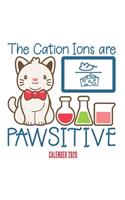 The Cation Ions Are Pawsitive Calender 2020