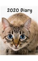 2020 Diary