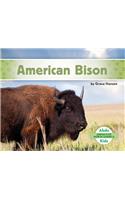 American Bison: (Animals of North America)