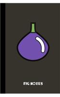 fig notes